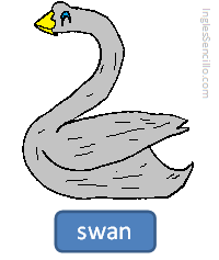 der Schwan