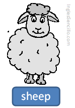 das Schaf